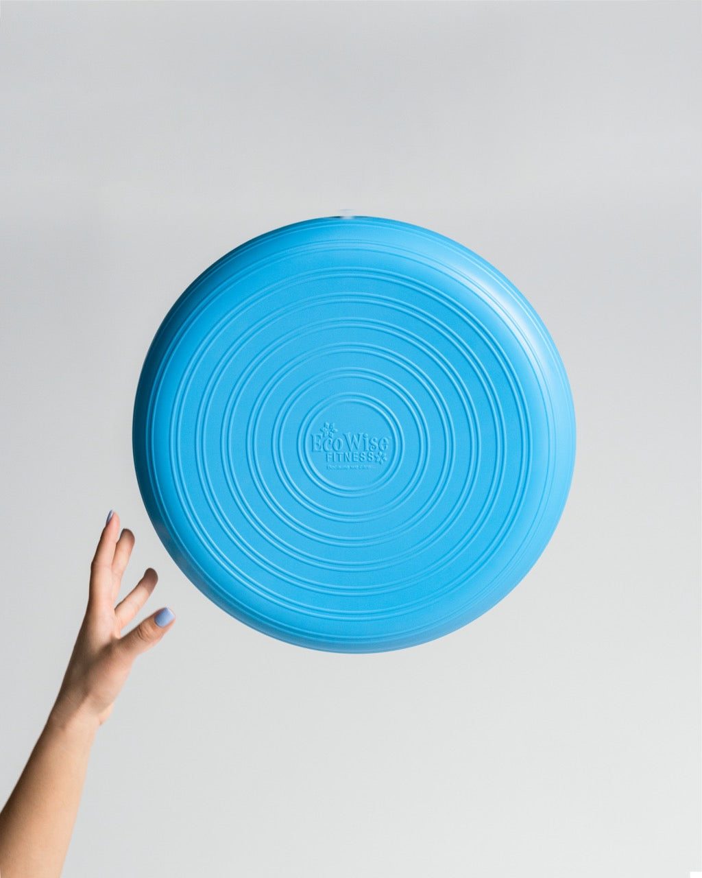 EcoWise Deluxe Balance Disc Cushion